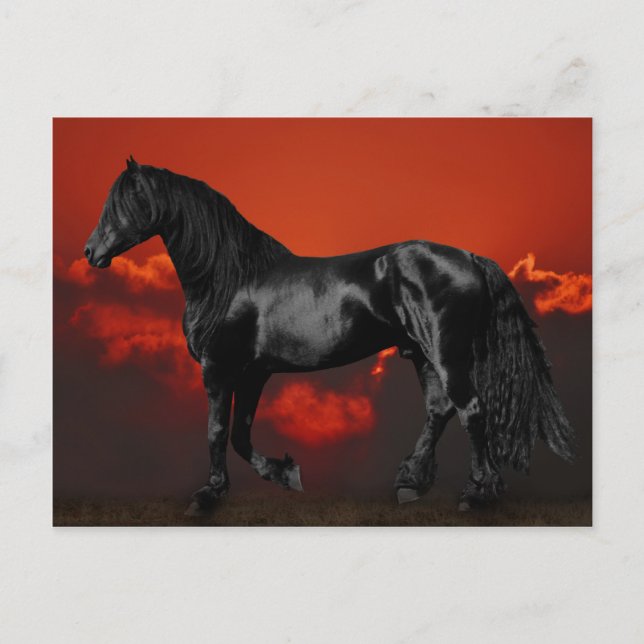 Cartão Postal Silhueta de cavalo ao pôr do sol (Frente)