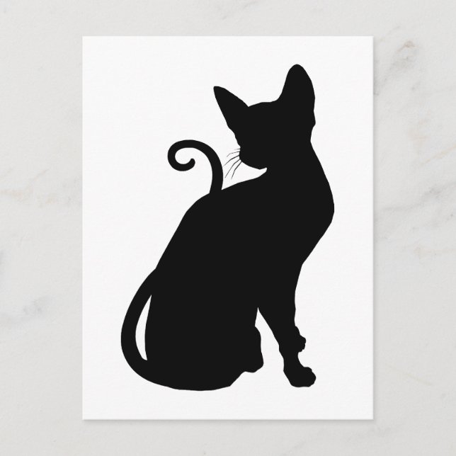 Cartão Postal Silhueta de Gato (Frente)