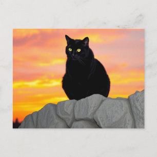 Cartão Postal Silhueta de Gato Preto ao Pôr do Sol