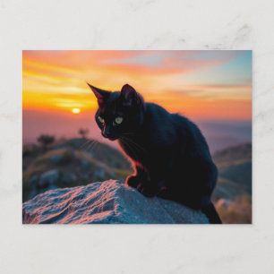 Cartão Postal Silhueta de Gato Preto ao Pôr do Sol
