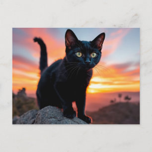 Cartão Postal Silhueta de Gato Preto ao Pôr do Sol