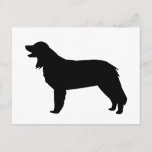 Cartão Postal silhueta de hovawart