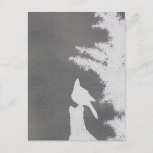 Cartão Postal Silhueta do Jay de Steller