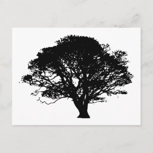 Cartão Postal Silhuette de árvore de maçã