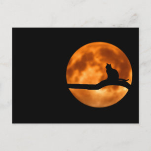 Cartão Postal Silhute de um Gato Negro em uma Árvore