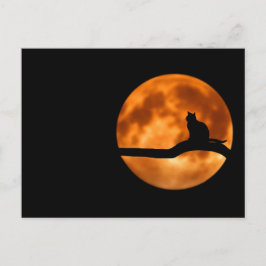 Cartão Postal Silhute de um Gato Negro em uma Árvore