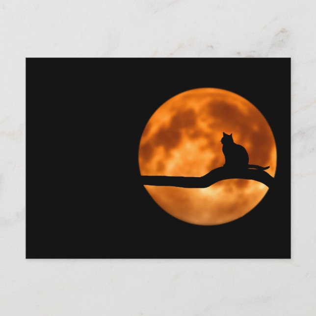 Cartão Postal Silhute de um Gato Negro em uma Árvore (Frente)