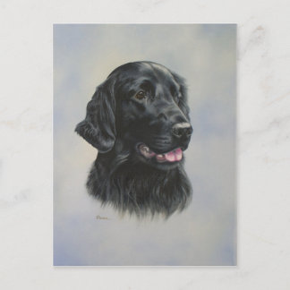 Cartão Postal Silka