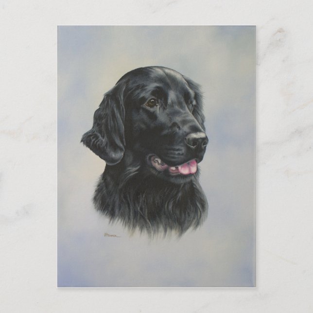 Cartão Postal Silka (Frente)