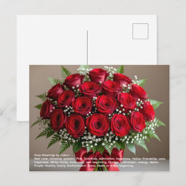 Cartão Postal Simbolismo da Rosa (Frente/Verso)