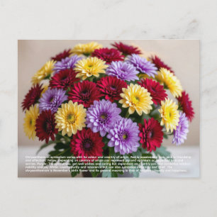 Cartão Postal Simbolismo do Crisântemo