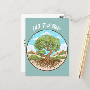 Cartão Postal Símbolo de paz da oliveira em terra livre na Pales