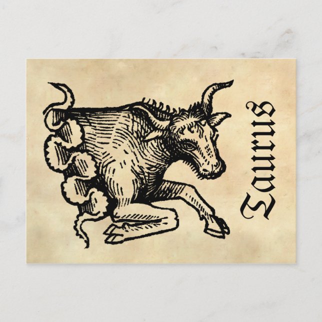 Cartão Postal Símbolo Zodiac Taurus da Renascença Medieval (Frente)