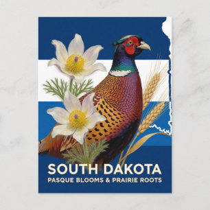 Cartão Postal Símbolos de Faisão e Flor Pasque de Dakota do Sul