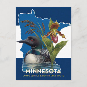 Cartão Postal Símbolos do Estado de Minnesota do Loon e da Flor