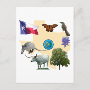 Cartão Postal Símbolos do Estado do Texas