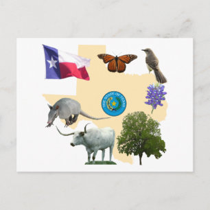 Cartão Postal Símbolos do Estado do Texas