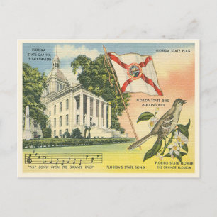 Cartão Postal Símbolos estaduais da Flórida Vintage Tallahasse