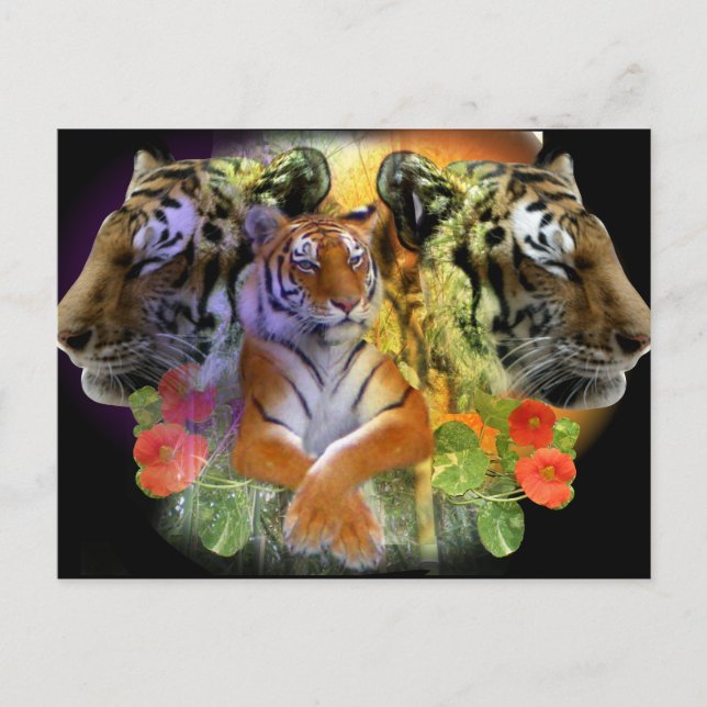 Cartão Postal Simetria do Tigre zoológico (Frente)