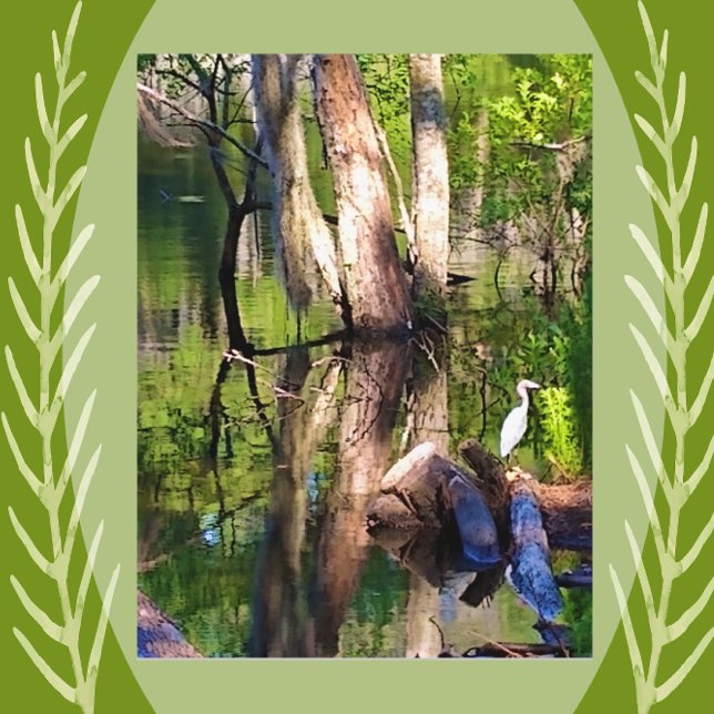 Cartão Postal Simons Island, GA Lagoa e Egret Postcard (Criador carregado)