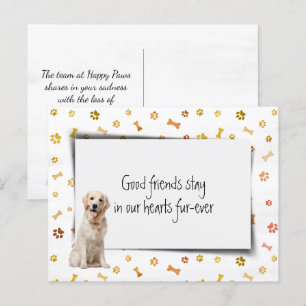 Cartão Postal Simpatia pela Perda de Animal de Estimação Golden 