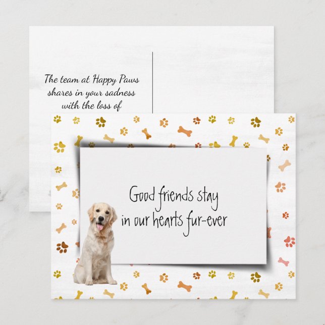 Cartão Postal Simpatia pela Perda de Animal de Estimação Golden  (Frente/Verso)
