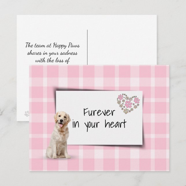 Cartão Postal Simpatia pela Perda de Cachorro Golden Retriever (Frente/Verso)