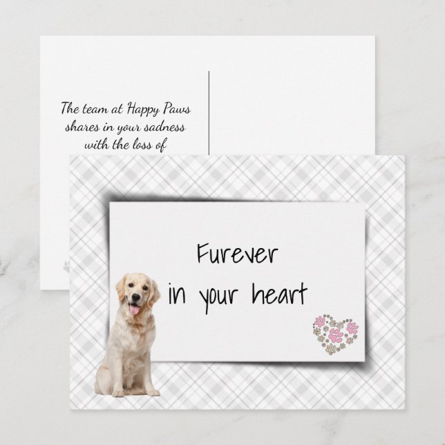 Cartão Postal Simpatia pela Perda de Cachorro Golden Retriever (Frente/Verso)