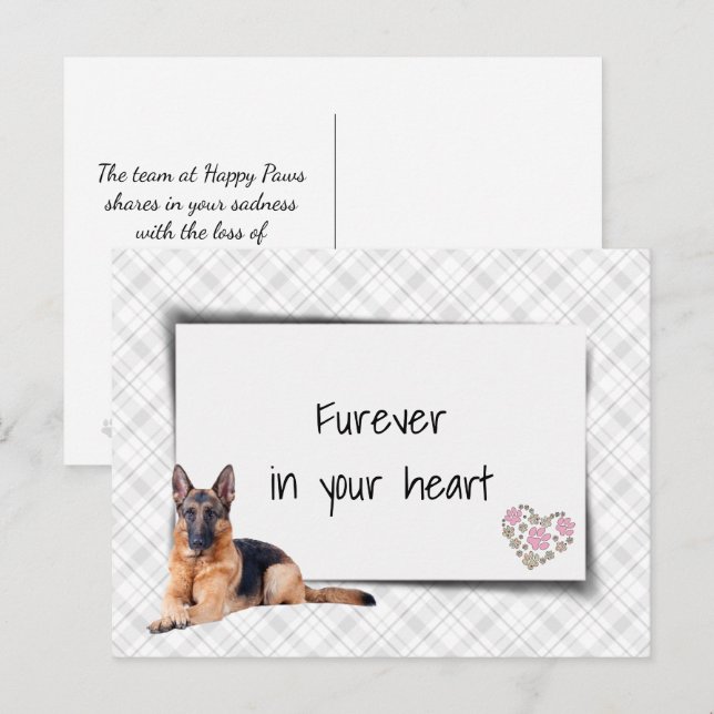 Cartão Postal Simpatia pela perda de cão Pastor Alemão (Frente/Verso)
