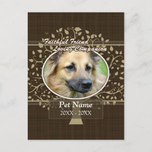 Cartão Postal Simpatia Personalizada de Pet Amigo Fiel