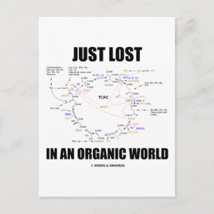 Cartão Postal Simplesmente Perdido Num Mundo Orgânico (Humor Cic