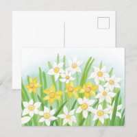 Sinais de Daffodils do Cartão-postal primavera