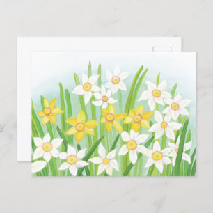 Cartão Postal Sinais de Daffodils do Cartão-postal primavera