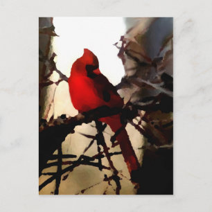 Cartão Postal Sinais De Primavera