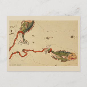 Cartão Postal Sinal de peixes