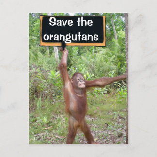 Cartão Postal Sinal de protesto de Orangutan