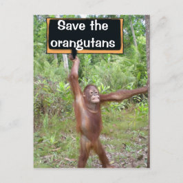 Cartão Postal Sinal de protesto de Orangutan