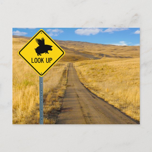 Cartão Postal Sinal de Suíno Voador (Frente)