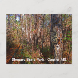 Cartão Postal Sinal de Trilha do Parque Estadual do Shepard