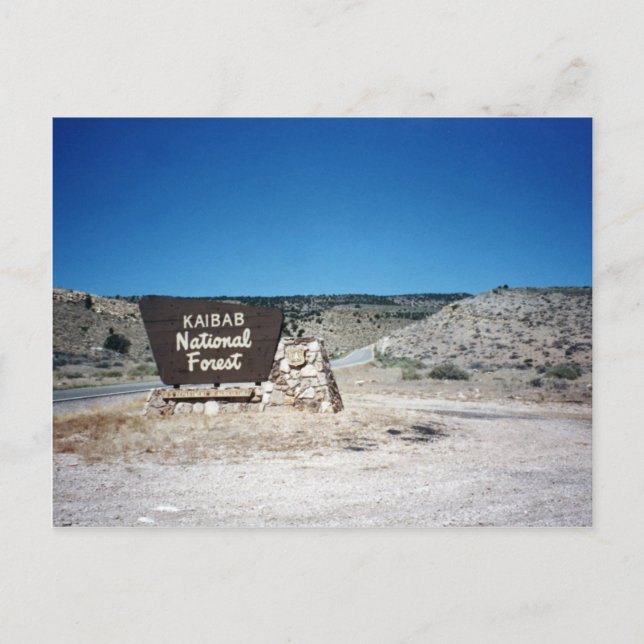 Cartão Postal Sinal Nacional da Floresta do Kaibab (Frente)