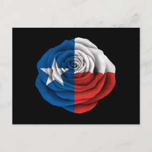 Cartão Postal Sinalizador de Rosa do Texas em preto