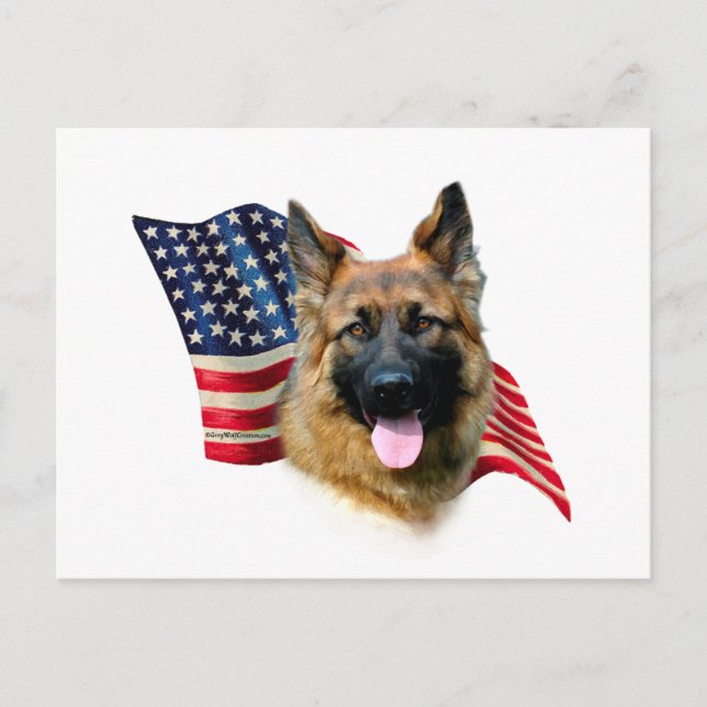 Cartão Postal Sinalizador do german shepherd (Frente)
