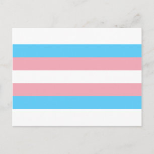 Cartão Postal Sinalizador do Orgulho Transgênero - Arco-Íris L