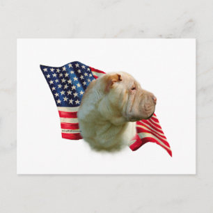 Cartão Postal Sinalizador Shar-Pei Chinês