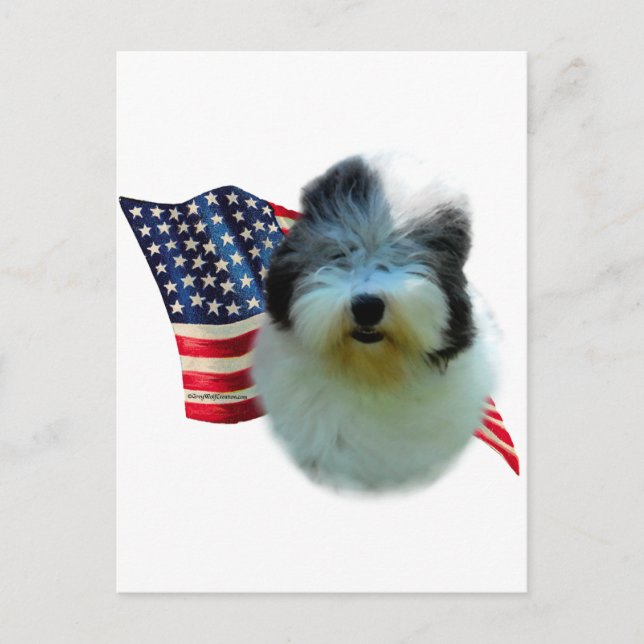 Cartão Postal Sinalizador Sheepdog Inglês (Frente)