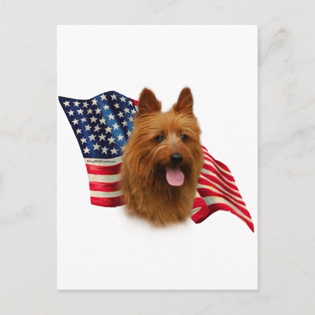 Cartão Postal Sinalizador Terrier australiano (Frente)