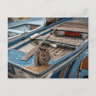 Cartão Postal Sinbad, o Cartaz do Gato do Marinheiro