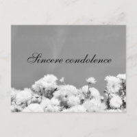 Sinceras condolências