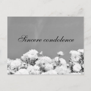 Cartão Postal Sinceras condolências