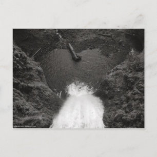 Cartão Postal Sincero